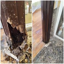 door frame repair services sand and