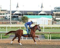 Kentucky Derby Field Comes Into Focus ...
