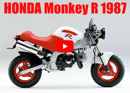 honda monkey r 50 1987 introduction
