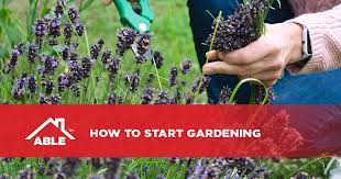 How To Start Gardening Able Roofing