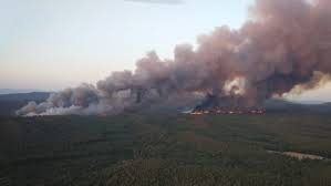 Marmaris Amazon Koyu'nda orman yangını