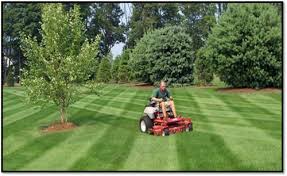 If your lawn mower is beyond diy repairs, then it's best to use a trusted mower repair company near. Natural Lawn Maintenance Service Local Clean Source Id 23160668488