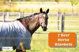 7 best horse blankets types of