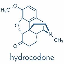 how long does hydrocodone stay in your