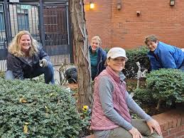 bethany garden club volunteers at yale