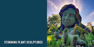 Monumental Plant Sculptures 2016