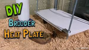 diy en quails brooder heat plate