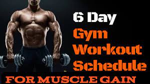 full week workout plan muscle gain