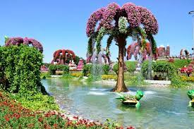 dubai miracle garden erfly garden