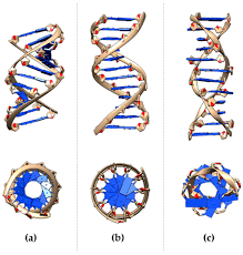 micromachines free full text dna