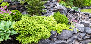 How To Build A Rock Garden Archives