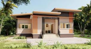 Beautiful Single Y House Designs