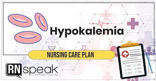 hypokalemia nursing care plan
