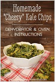 homemade cheesy kale chips