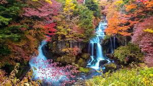 Japan 2021 autumn leaves forecast: when and where to see the best foliage