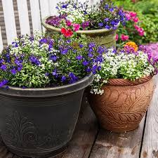 Container Gardening Guide For Autumn