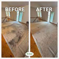 professional carpet cleaning be green