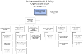 Environmental Health Safety Organization Chart