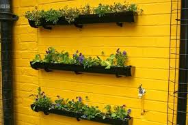 how to make a living garden wall for