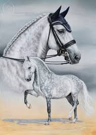 Pferde, die besten freunde der kinder. Lusitano Dressur Pferd Dressage Horse Barock Pferd Christina Botzel Pferd Zeichnungen Pferde