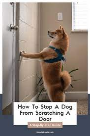 stop a dog from scratching the door