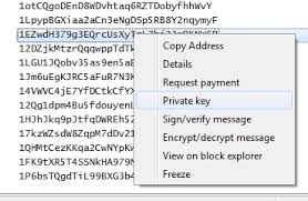 Find your private key here! How To Find Private Key In Blockchain Info Account Bitcoin Stack Exchange