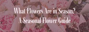 a seasonal flower guide