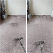 carpet cleaning brisbane pet odour