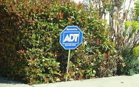 adt vs blue by adt what s the