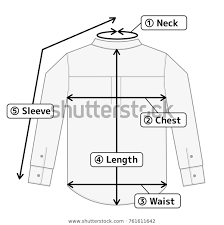 Business Shirt Illustration Size Chart English Stock Vector