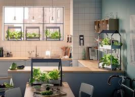 indoor gardening with hydroponic kit