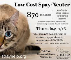 Do the search because there are more of them too, call around to check prices. Low Cost Clinic For Pets And Feral Community Cats Putnam County Online