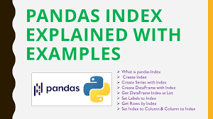 pandas index explained with exles