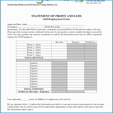 Free Profit And Loss Statement Template Personal Ytd Sample