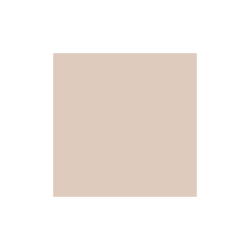 Benjamin Moore Sample 2096 60 Light Mocha