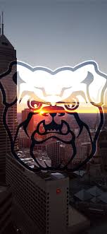bulldogs iphone wallpapers free