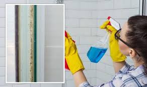 How To Clean Shower Door Seal 42p