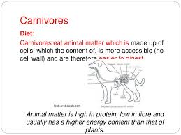 Ppt Patterns In Nature Topic 12 Heterotrophs Obtaining