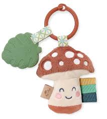 Itzy Ritzy Itzy Pal Infant Toy
