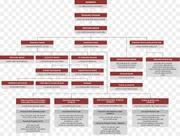 Organizational Chart Text Png Download 1388 1041 Free