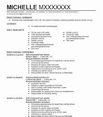 A personal profile, also known as a cv summary, is the opening statement of your cv. Self Employed Stylist Resume Example Company Name Columbia South Carolina