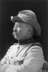 the progressive era boundless us history located at upload org commons e e2 theodore rooseveltnewtry jpg