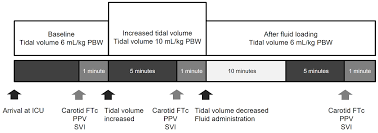 ability of carotid corrected flow time