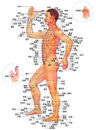 39 Comprehensive Acupuncture Chart Pdf