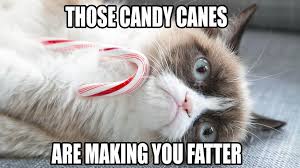 Memes Vault Christmas Cat Memes via Relatably.com