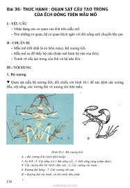 SGK Sinh Học 7 - Bài 36: Thực hành: Quan sát cấu tạo trong của ếch đồng  trên mẫu mổ