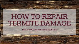 how to repair termite damage