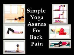 yoga for back pain wellness haven yoga