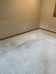 apple valley carpet cleaning north