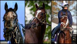 Top horses in the belmont stakes 2021 Slideshow Meet The 2021 Belmont Stakes Contenders America S Best Racing